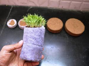 Disques de tourbe de noix de coco pour blocs de graines de jardin de plantation domestique et fosses pour COIR PITH - Product Image 4