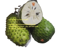 Premium biologische Vietnamese IQF diepvries verse hele zuurzak (graviola) vruchten, jaarlijkse watergeconserveerde vacuüm verpakte bulk groothandelslevering
