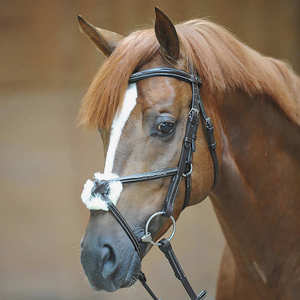 Bridon de cheval Joxar Diandro mexicain - Product Image 3