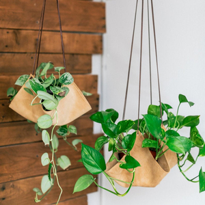 Elegante y Hermoso Soporte para Plantas de Alta Calidad - Product Image 1