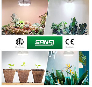 Bombilla led SANSI e27 230vac 36w para cultivo de plantas, para <span class=keywords><strong>brocolli</strong></span> - Product Image 2
