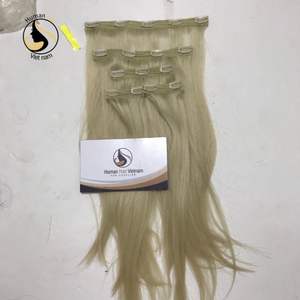 Échantillon gratuit de cheveux humains 100% alignés à cuticules, vierges, cheveux Remy crus péruviens, couleur Blonde 60 613, Extension de cheveux avec Clip - Product Image 1
