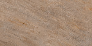 9mm de espesor marrón oscuro antideslizante pulido resistente al ácido madera India baldosas de porcelana 600x600mm 600x1200mm tamaños uso al aire libre - Product Image 5