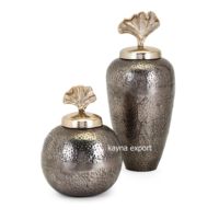 Kayna Export KY-16132 Kit de Propagación Clásico de Diseño Elegante con Tapa Dorada de Metal, Tamaño Personalizado, Estándar, Seguro para Hogares, Hoteles y Restaurantes