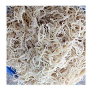 Vietnam Supplier Irish <b>Sea</b> <b>Moss</b> Eucheuma Cottonii Seaweed/ Dried Unsalted Brown <b>Sea</b> <b>Moss</b> Vietnam - Product Image 4