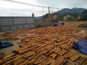 Bán hàng tốt nhất cassia bột hữu cơ/quế Stick/cassia bị hỏng, tách hoặc thuốc lá cassia từ Việt Nam (Shyn tran) - Product Image 6