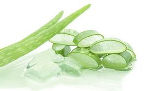 Tranches de plantes d'aloe vera fraîches d'entreprise avec gel naturel pour la beauté et les soins de la peau - Product Image 2