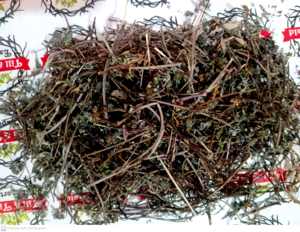 Bhringraj - Eclipta Alba-Bhringa Previene la caída del cabello debido a su reducción de la caspa Keshya Puede retrasar el encanecimiento - Product Image 3