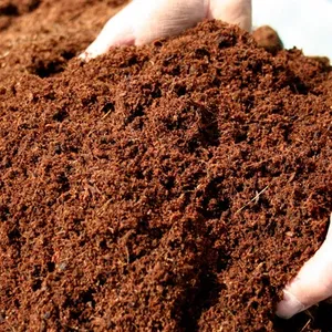 可可泥炭土由可可泥炭块制成5千克越南供应商