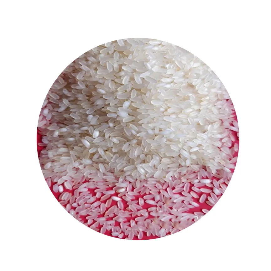 Arroz redondo-japonica/sushi/calrose arroz 5% quebrado