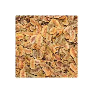 Bulk Quantity 100% Pure & Herbal Natural Dried Healthcare Supplement Senna Pods Top Selling Constipation Relief Product