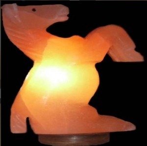 Horse Shape Carved <b>Salt</b> Lamp with Organic Material NSLT - Product Image 5