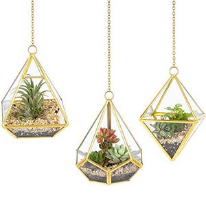 Hanging Geometric Glass Terrarium <b>Plants</b> - Product Image 5