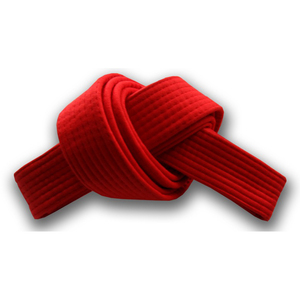 การออกแบบที่กำหนดเองสวมศิลปะการต่อสู้บราซิล Jiu Jitsu Gi เครื่องแบบ Bjj กิโมโน MMA - Product Image 5