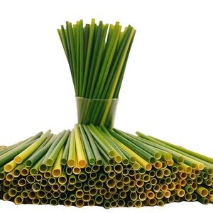 Pailles en herbe de jonc biologique pour boire en provenance du Vietnam - KATIE +84795877933 - Product Image 1