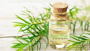 น้ำมันหอมระเหยต้นชาธรรมชาติบริสุทธิ์100% มีกลิ่นสดชื่นสำหรับดูแลผิวและเส้นผมผลิตโดยผู้จัดจำหน่ายขายส่ง - Product Image 2
