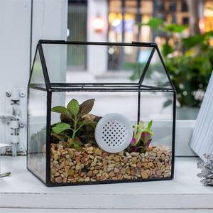 NCYP-Terrario de vidrio geométrico hecho a mano, cierre de forma de casa, mesa, tapa oscilante, pestillo para plantas de aire, reptiles de Caracol musgo - Product Image 1