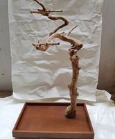 Vente chaude-Perchoir d'oiseau en bois de café en bois de Java durable pour les jouets d'oiseau de perroquets du fabricant du Vietnam en gros