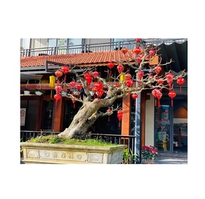 Linternas vietnamita de seda decorativas, linternas colgantes antiguas de bambú, 99 DATOS dorados, gran oferta - Product Image 1
