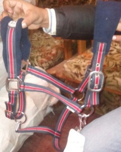 VENDO PP halters CABALLEROS NYLON HALTERS IN; dólar 2 tamaños COB completo Shetland - Product Image 4