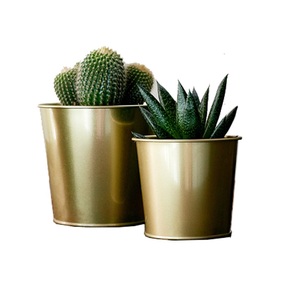 กระถางดอกไม้ทองเหลือง,สำหรับตกแต่งบ้านและสวนกลางแจ้งขนาดกลางกระถางดอกไม้ทองเหลืองสำหรับขายร้อน - Product Image 2