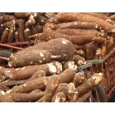 Пеллеты из крахмала с чипом кассавы