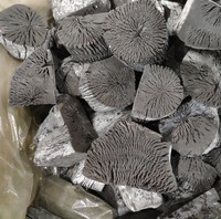 Bâtonnets de charbon de bois de mangrove à combustion longue durée, sans fumée, en bois dur de Maitiew, pour barbecue, 5-6 heures de combustion