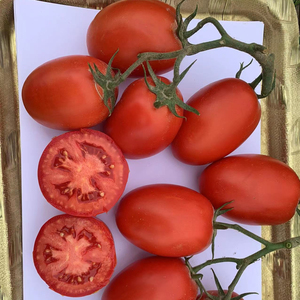 Producto agrícola de tomate híbrido F1 de granja - Product Image 3