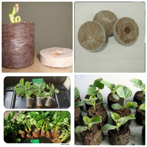 Pellets de Turba de Coco, Discos de Fibra de Coco, Discos de Coco Comprimido de Alta Calidad para Jardinería y Agricultura, Procedente de Vietnam - Product Image 4