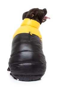 East Harlem Veste d'aventure confortable pour chiens Vêtements recyclés pour animaux de compagnie en jaune - Product Image 3