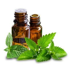 Aceite Esencial de Menta Orgánica |   100% Puro y Natural |   Destilado al vapor, certificado por GMP |   Proveedor Mayorista de la India - Product Image 4