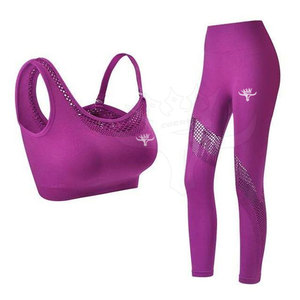 Quick Dry Sport Bra Leggings Seamless Breathable Fitness Exercise Sports Bra and Legging Set - Product Image 2