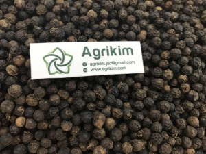 Agrikim No.1เวียดนามผู้ผลิตใหม่พริกไทยดำดิบแห้ง600 MC ราคาดีที่สุดส่งตรงจากทับทิม + 84 359318390 - Product Image 4