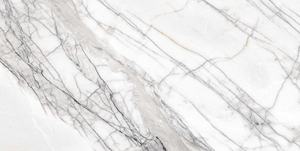 Mercado de EE. UU. Estilo de diseño europeo moderno Azulejos de porcelana esmaltada de alta calidad 600x1200 para decoración de pisos y paredes 24 "x 48" - Product Image 4