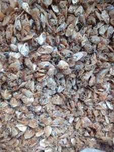 Offres Spéciales CASHEW HUSK 3-10MM PELLETS pour TANNAGE GROS avec 10% MAX HUMIDITÉ & 3% MAX DUST - Product Image 5