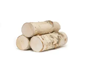 Top Quality Birch Logs White Birch Logs for Home Furniture - China Log,  Wood