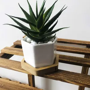 Decoratieve Witte Keramische Vierkante Sappige Cactus Planter Pot Met Houten Dienblad