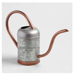 Arrosoir de jardin galvanisé Vintage, 1 pièce, avec poignée en bois et pichet en métal, pour jardin disponible - Product Image 2