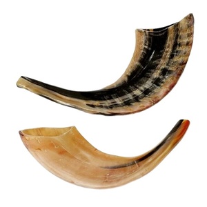 สินค้ามาใหม่100ชิ้นทำด้วยมือธรรมชาติแกะฮอร์น shofar แบบดั้งเดิมขัดเงาสไตล์สัตว์เป่าแตรทางศาสนางานฝีมือตามธรรมชาติ - Product Image 1
