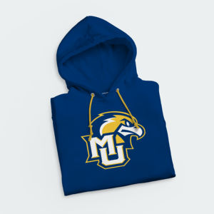 Pantalon de survêtement d'hiver grande taille de haute qualité du fabricant OEM sweats à capuche surdimensionnés brodés avec logo personnalisé pour femmes - Product Image 3