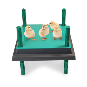 Couvercle, chauffant, 2 pièces, couverture de ferme de poulet, de très bonne qualité, bon <span class=keywords><strong>prix</strong></span>, livraison vers l'europe - Product Image 1
