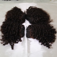 Extensions de cheveux vierges vietnamiennes Remy bouclées afro 4B/4C à double trame machine avec emballage personnalisé – Prix abordable