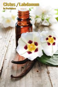 Huile Essentielle de Labdanum (Cistus Ladanifer) 100% Pure et Naturelle, Arbre à Thé, Haute Qualité, Distillée à la Vapeur, Parfum Méditerranéen - Product Image 4