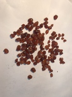Batu Permata Garnet Mandarin Oranye Alami Bentuk Kasar Berkualitas Tinggi