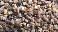 Oliban et encens de qualité supérieure, provenant de la résine d'encens et de l'huile d'encens