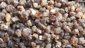 Olibanum y Incienso de la Mejor Calidad, Súper Incienso de Resina y Aceite de Incienso - Product Image 3