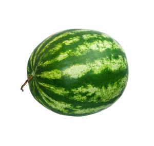 100% pure cold pressed watermelon seed oil