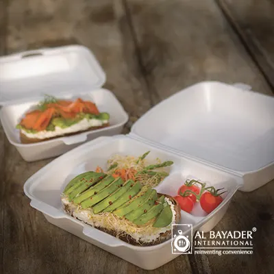 Vankual Bayader — boîte à lunch à usage unique, boîte en mousse de Styrofoam thermique