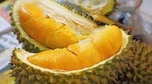 Fruits frais du Vietnam Durian avec prix compétitif de haute qualité/goût sucré naturel/Hana - Product Image 3