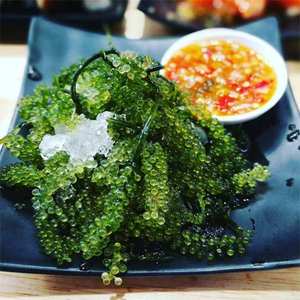 องุ่นทะเลอบแห้งคาเวียร์สีเขียว Umibudo Lato Caulerpa Lentillifera Umibudou จากเวียดนาม - Product Image 3